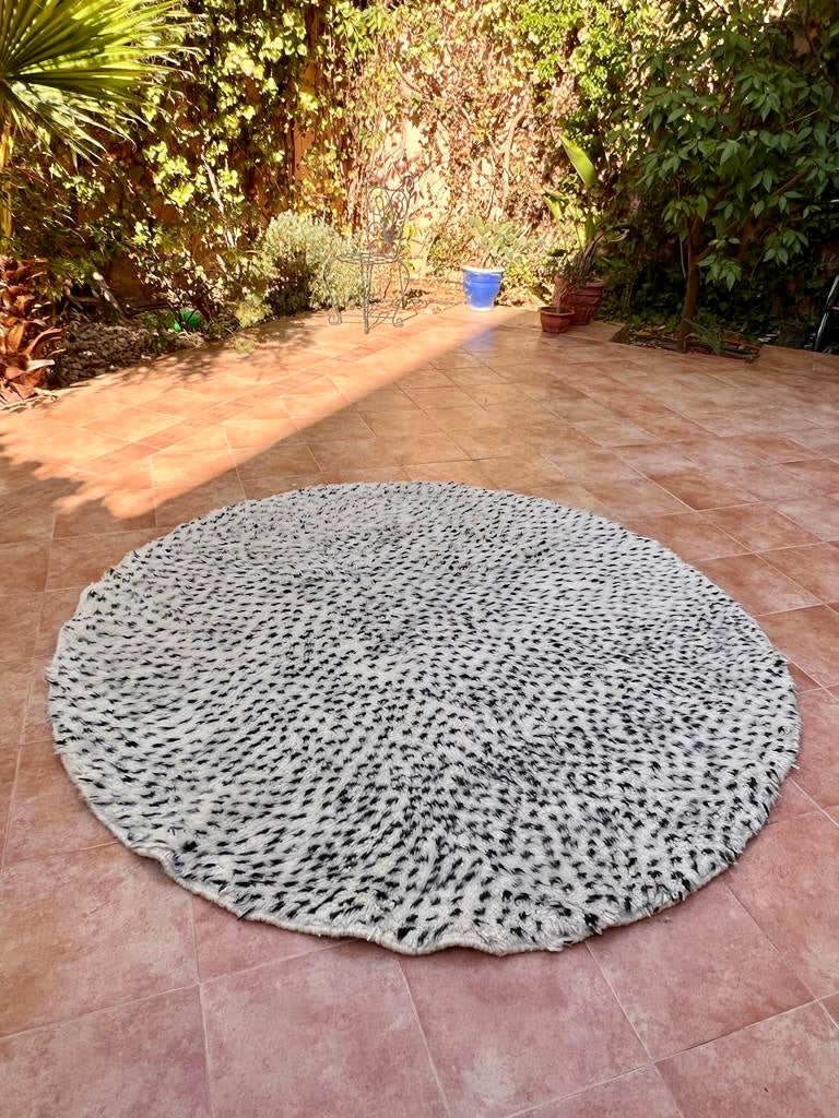 Wool Rugs